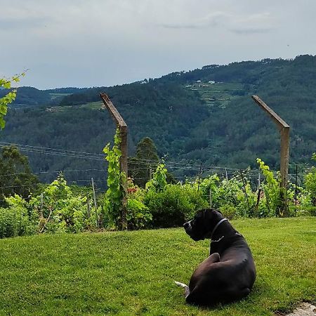 Villa Casa Da Vina - Ribeira Sacra Nogueira De Ramuin Esterno foto
