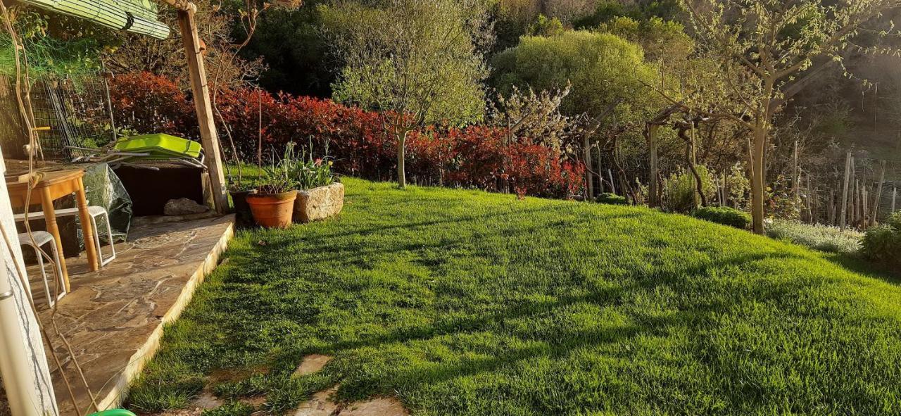 Villa Casa Da Vina - Ribeira Sacra Nogueira De Ramuin Esterno foto