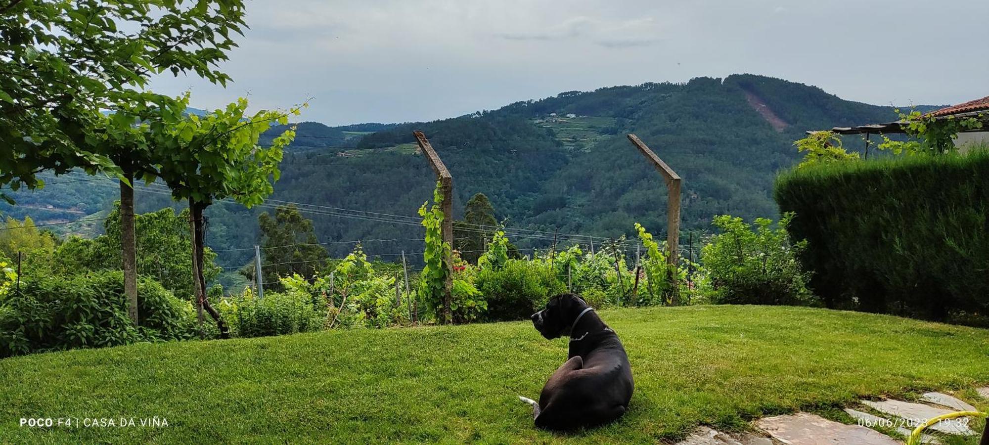 Villa Casa Da Vina - Ribeira Sacra Nogueira De Ramuin Esterno foto