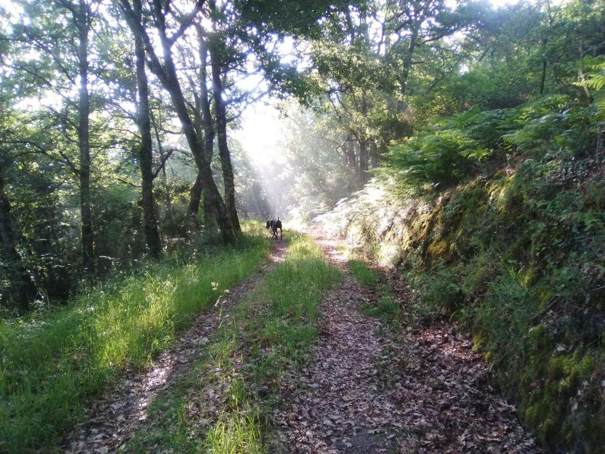 Villa Casa Da Vina - Ribeira Sacra Nogueira De Ramuin Esterno foto