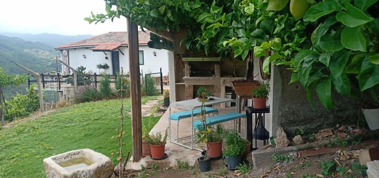 Villa Casa Da Vina - Ribeira Sacra Nogueira De Ramuin Esterno foto