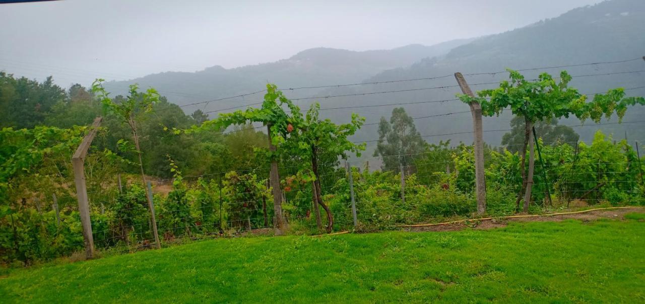 Villa Casa Da Vina - Ribeira Sacra Nogueira De Ramuin Esterno foto