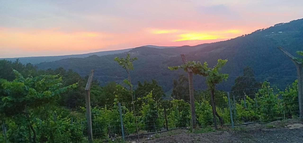 Villa Casa Da Vina - Ribeira Sacra Nogueira De Ramuin Esterno foto