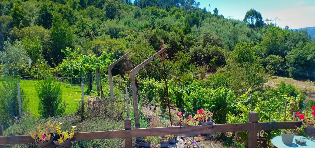 Villa Casa Da Vina - Ribeira Sacra Nogueira De Ramuin Esterno foto
